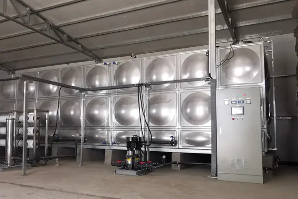 Case Study of PLC Variable Frequency Control Cabinet for Jiangsu Youkang Ecological Mushroom Water Phase II Pure Water System